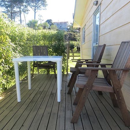 Big Bay Holiday Park Awhitu Chambre photo